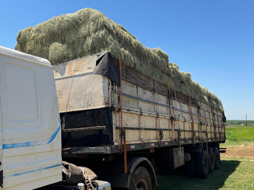 Carreta carregada com fardos de feno da EQUIFENO