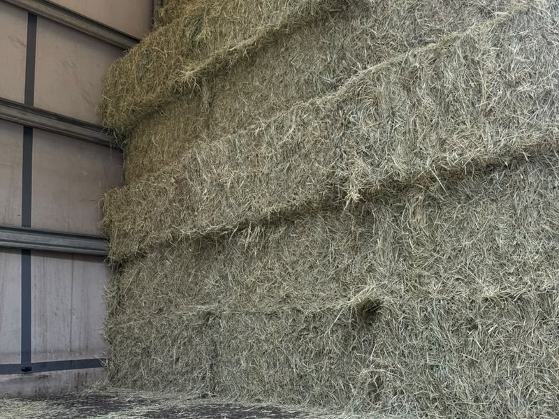 Fardos de feno de 20 kg empilhados